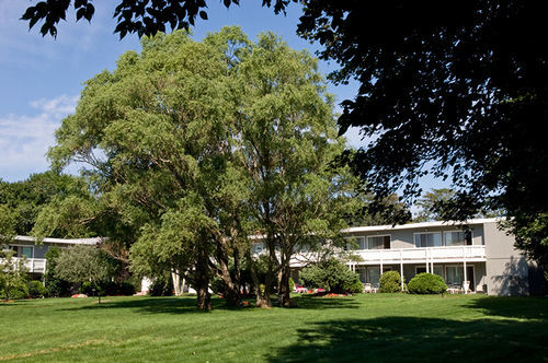 House Hotel